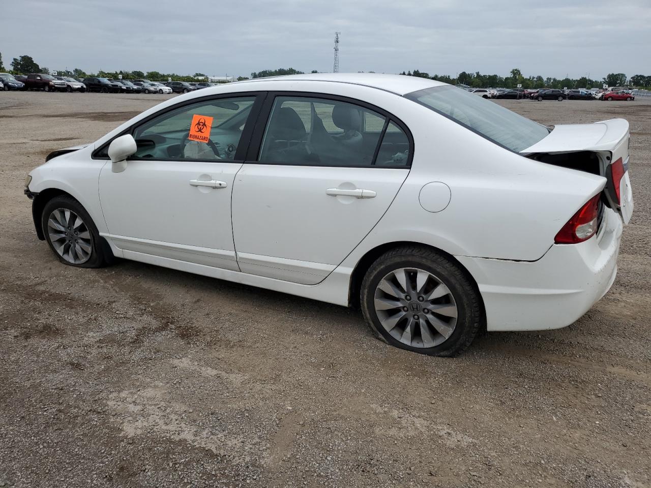 2HGFA15019H028700 2009 Honda Civic Exl