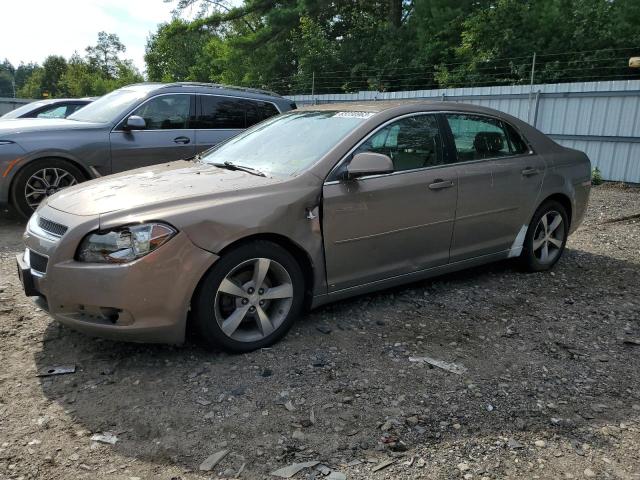 Lot #2463948603 2008 CHEVROLET MALIBU 2LT salvage car