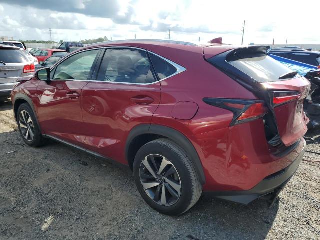 2020 LEXUS NX 300 JTJGARBZ8L5016978