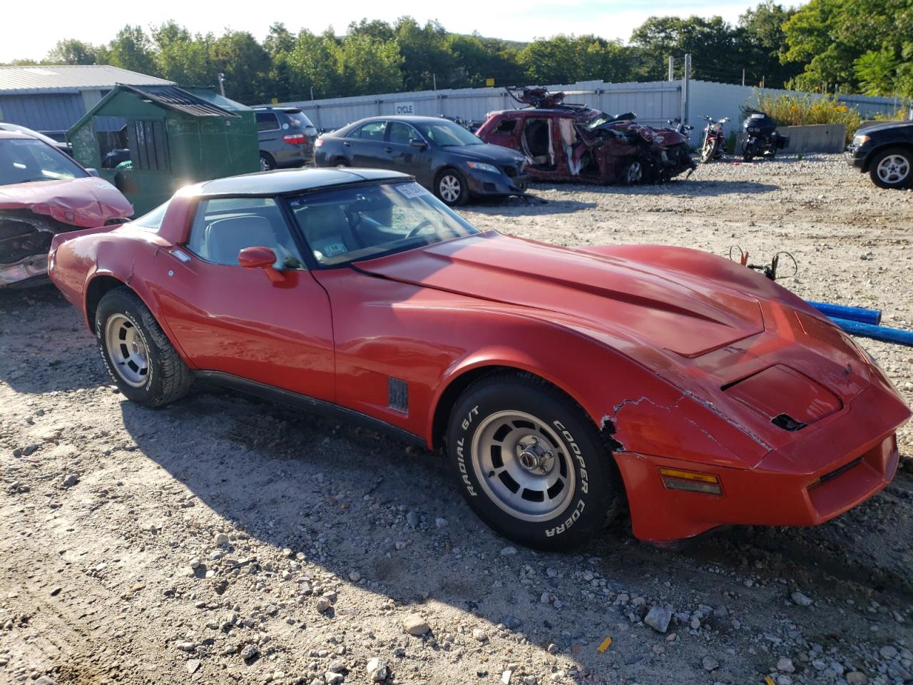 Lot #2806821037 1981 CHEVROLET CORVETTE