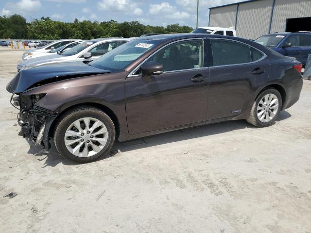 2013 Lexus ES 300h 