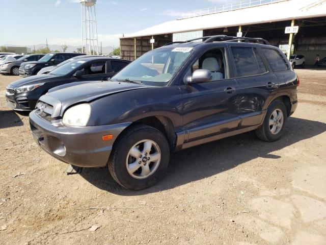 2006 Hyundai Santa Fe GLS