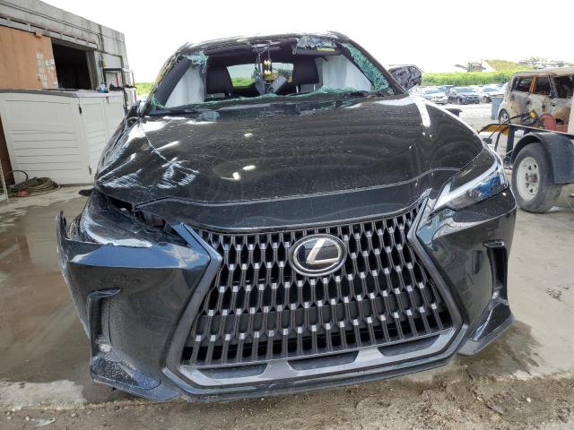2023 LEXUS NX 250 2T2ADCAZ6PC005299