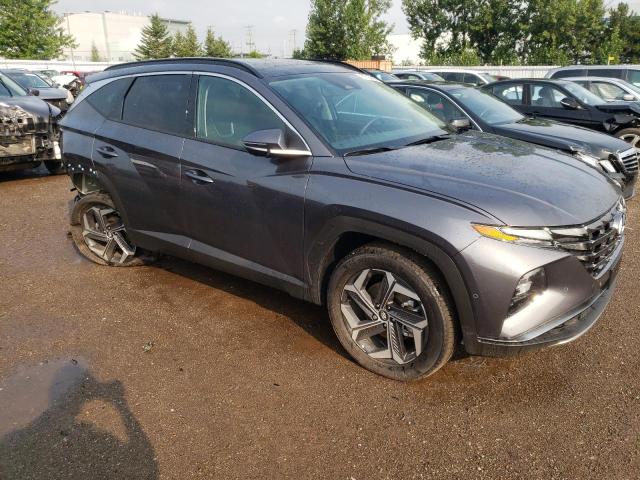 2023 HYUNDAI TUCSON LUX - KM8JCCA17PU124902
