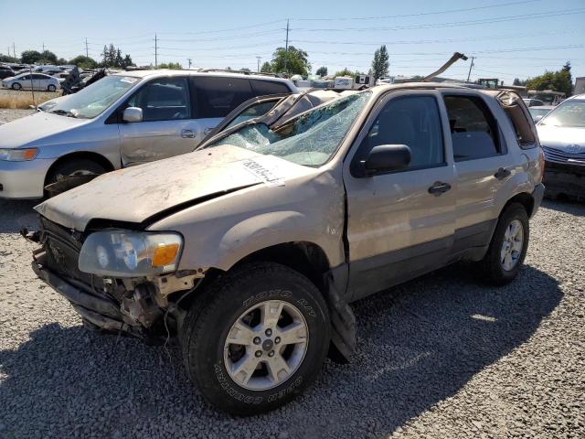 2007 Ford Escape XLT