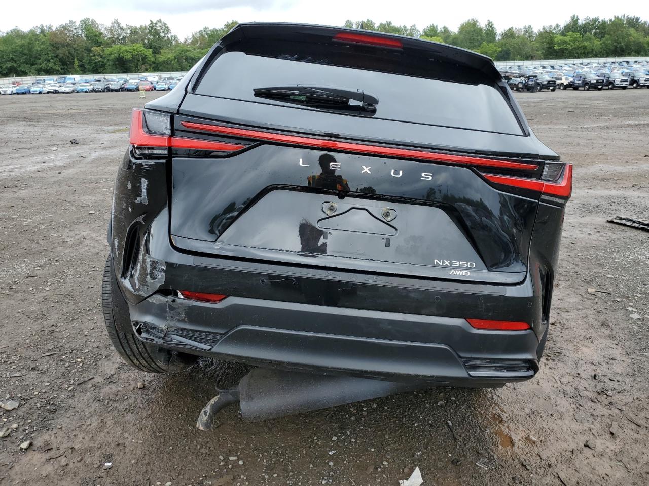 2T2HGCEZ3PC030547 Lexus NX 350  6