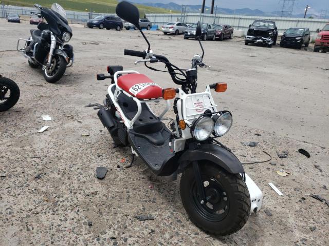 Honda Ruckus nps50