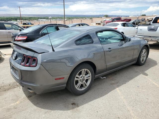 1ZVBP8AM2E5321243 | 2014 FORD MUSTANG