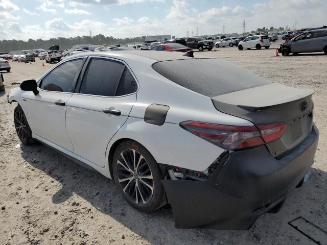 2019 TOYOTA CAMRY 4C 4T1B11HK4KU846916