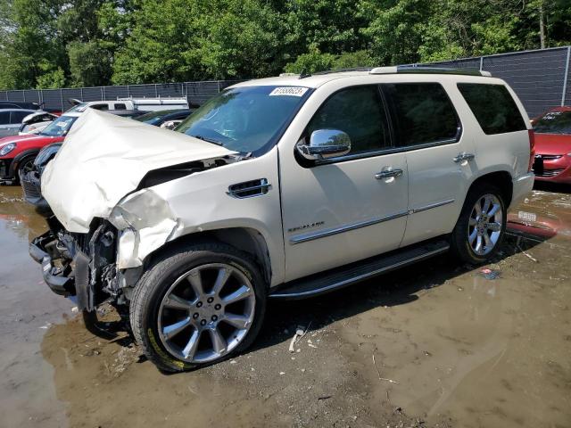 2010 Cadillac Escalade Luxury