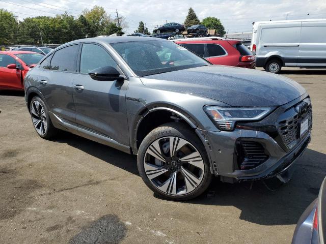 2024 AUDI Q8 E-TRON - WA1DABGE1RB008079