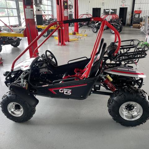 2022 POLARIS HAMMERHEAD L6KHGR158NS000438