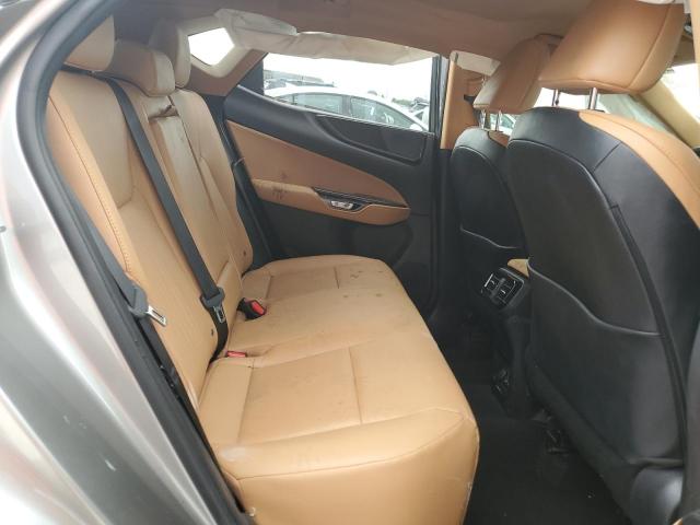 2023 LEXUS NX 250 2T2ADCAZ1PC004898