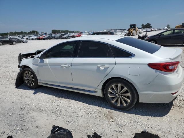 2017 HYUNDAI SONATA SPO - 5NPE34AFXHH467979