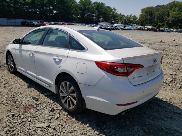 5NPE34AF5FH021641 | 2015 HYUNDAI SONATA SPO