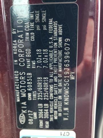 KNDMC5C19J6396079 KIA SEDONA EX