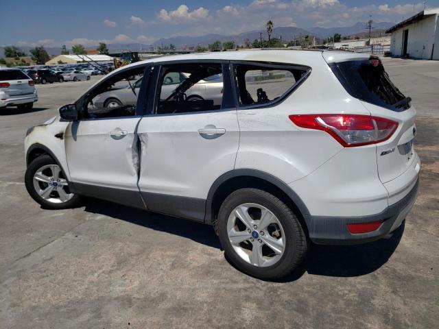 1FMCU0GXXEUE41778 Ford ESCAPE SE
