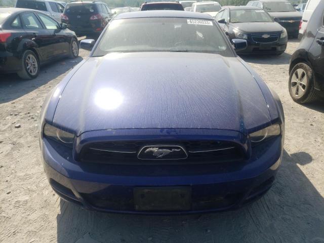 1ZVBP8AM3E5284607 Ford MUSTANG