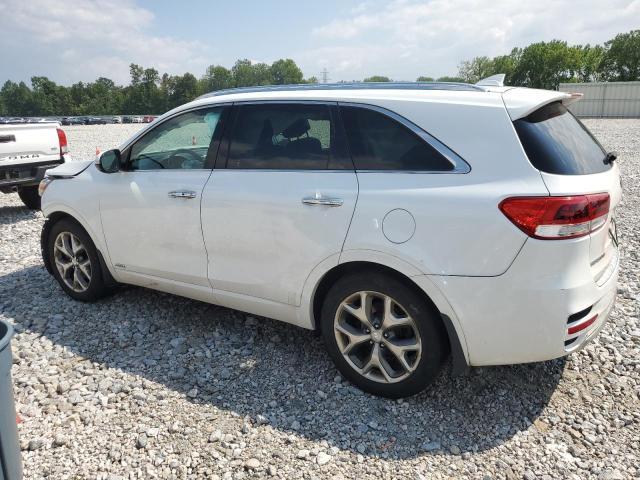 5XYPKDA56HG312176 KIA SORENTO SX