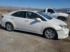 LEXUS HS 250H photo