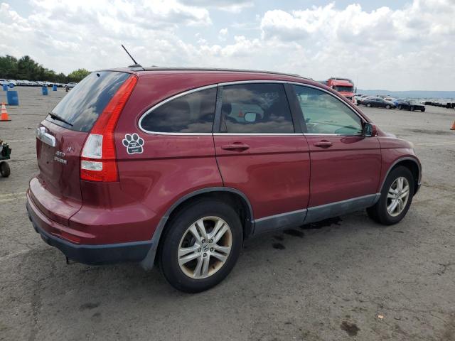 2010 HONDA CR-V EXL 5J6RE4H71AL008720  65775574