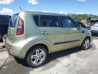 KIA SOUL + photo