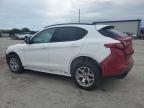 ALFA ROMEO STELVIO photo