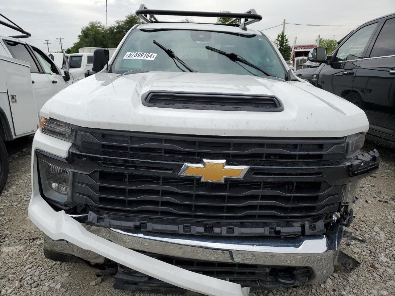 Lot #3033110989 2024 CHEVROLET SILVERADO