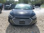 HYUNDAI ELANTRA SE photo