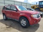 FORD ESCAPE XLT photo