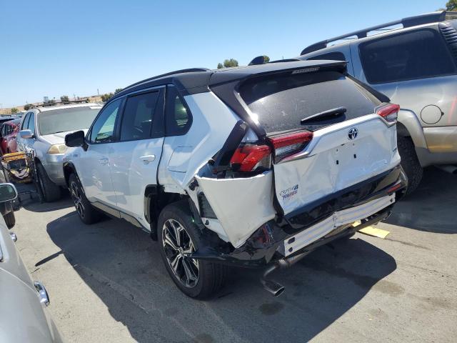 VIN JTMEB3FVXRD207926 2024 Toyota RAV4, Xse no.2