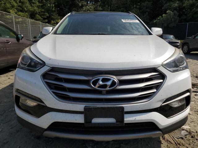 2017 HYUNDAI SANTA FE S - 5XYZUDLBXHG423612