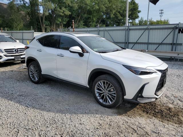 VIN 2T2HGCEZ0RC032775 2024 Lexus NX, 350 Luxury no.4