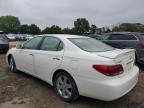 LEXUS ES 330 photo