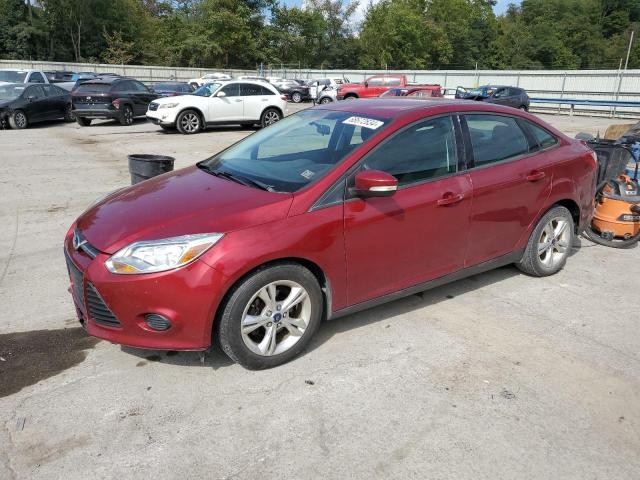 Vin: 1fadp3f25dl327236, lot: 68672634, ford focus se 20131