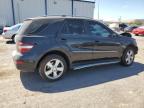 MERCEDES-BENZ ML 350 photo