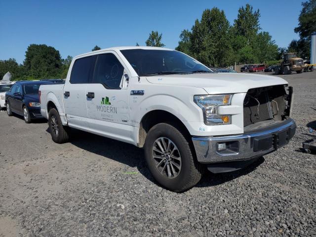 2015 FORD F150 SUPER - 1FTEW1CG1FFA30441