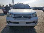 LEXUS GX 460 photo