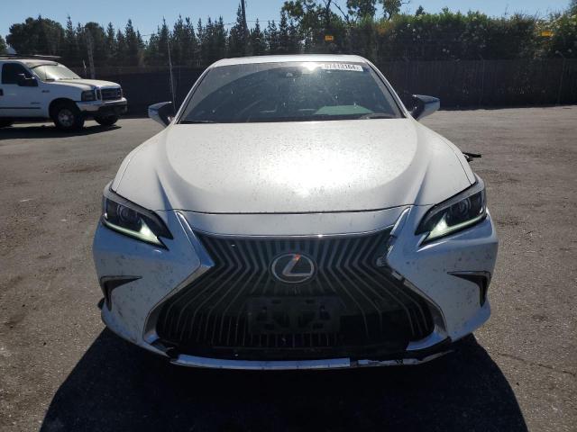 2019 LEXUS ES 350 - 58ABZ1B15KU029374