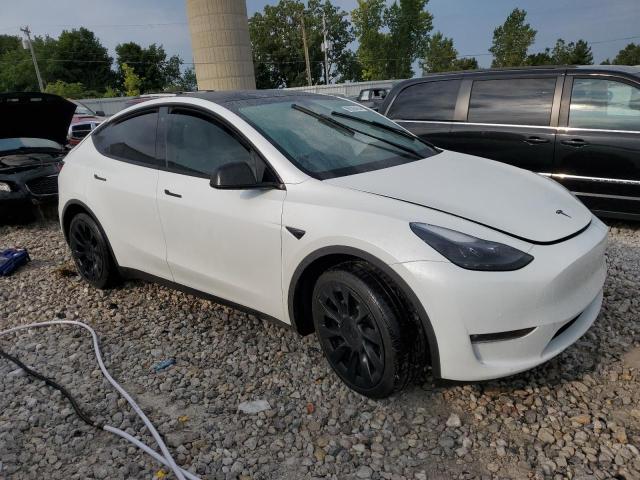 2022 TESLA MODEL Y - 7SAYGAEE0NF521885