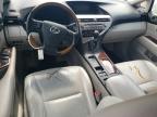 LEXUS RX 350 photo