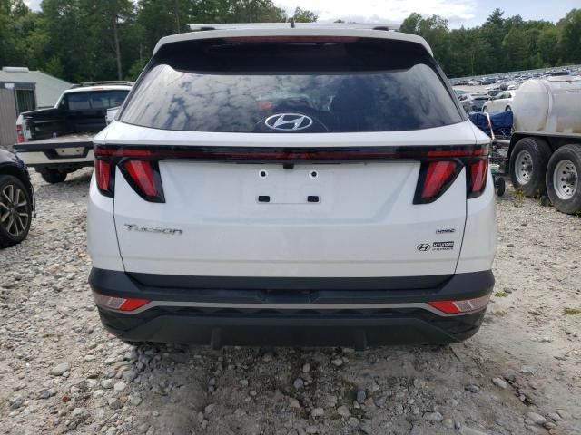 2024 HYUNDAI TUCSON SEL 5NMJBCDE2RH392143