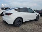 TESLA MODEL Y снимка