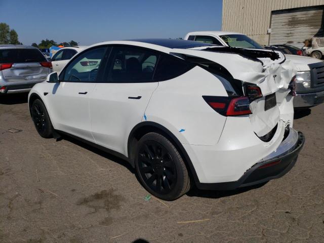 2023 TESLA MODEL Y - 7SAYGDEE4PF835303