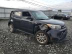 KIA SOUL + photo