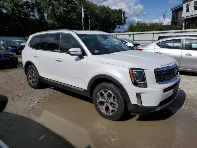 2020 KIA TELLURIDE - 5XYP3DHC1LG083674