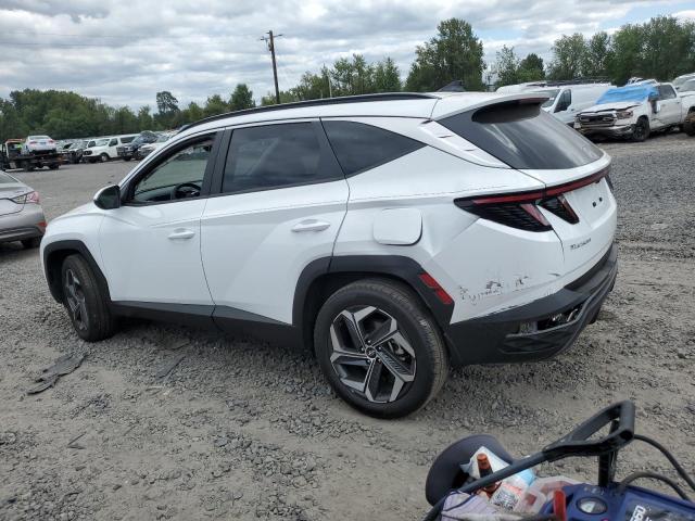 2023 HYUNDAI TUCSON SEL - 5NMJFCAE5PH219108