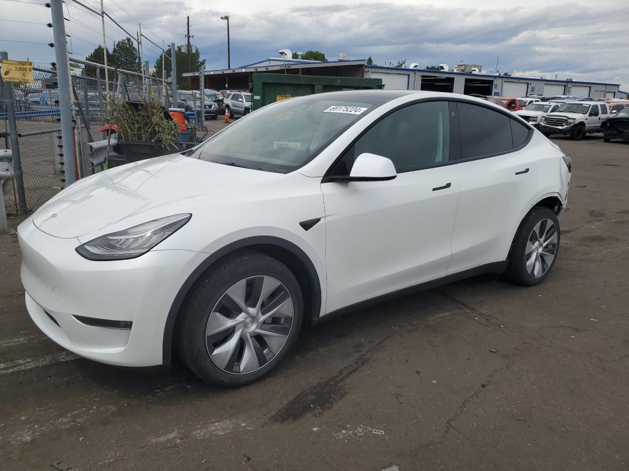 Lot #2926514279 2021 TESLA MODEL Y