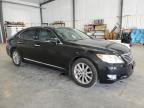 LEXUS LS 460 photo