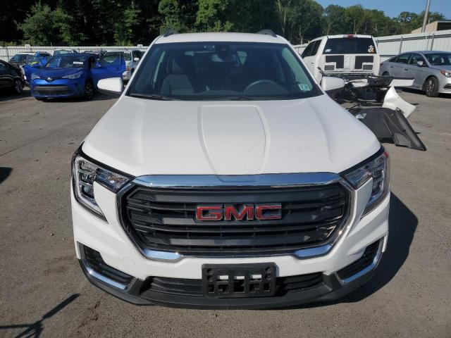 2022 GMC TERRAIN SL - 3GKALTEV4NL145316